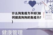 什么狗免疫力不好(如何提高狗狗的免疫力？)