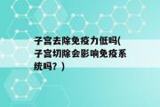 子宫去除免疫力低吗(子宫切除会影响免疫系统吗？)