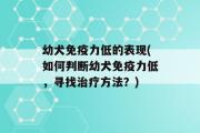 幼犬免疫力低的表现(如何判断幼犬免疫力低，寻找治疗方法？)