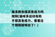 猫多跑会提高免疫力吗视频(猫咪多运动有助于提高免疫力，看看这个视频就明白了！)