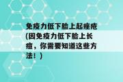 免疫力低下脸上起痤疮(因免疫力低下脸上长痘，你需要知道这些方法！)