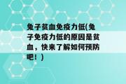 兔子贫血免疫力低(兔子免疫力低的原因是贫血，快来了解如何预防吧！)