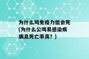 为什么鸡免疫力低会死(为什么公鸡易感染疾病且死亡率高？)