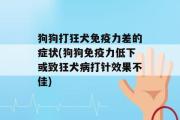 狗狗打狂犬免疫力差的症状(狗狗免疫力低下或致狂犬病打针效果不佳)