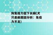 狗免疫力低下长癣(犬只患癣原因分析：免疫力不足)