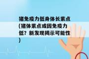 猪免疫力低身体长紫点(猪体紫点或因免疫力低？新发现揭示可能性)