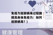 免疫力抵御病毒过程图提高身体免疫力：如何抵御病毒？)