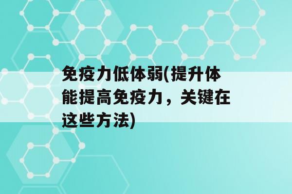 力低体弱(提升体能提高力，关键在这些方法)