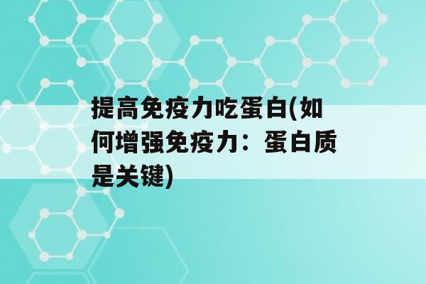 提高力吃蛋白(如何增强力：蛋白质是关键)