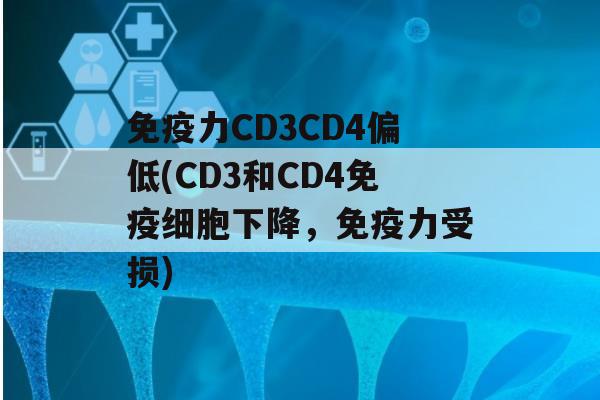 力CD3CD4偏低(CD3和CD4细胞下降，力受损)