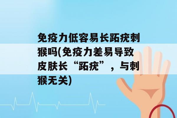 力低容易长跖疣刺猴吗(力差易导致长“跖疣”，与刺猴无关)