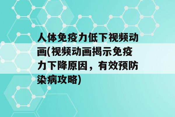 人体力低下视频动画(视频动画揭示力下降原因，有效染攻略)