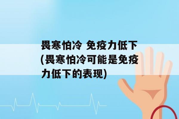 畏寒怕冷 力低下(畏寒怕冷可能是力低下的表现)