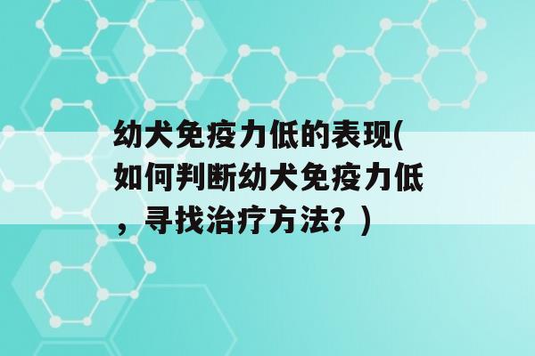 幼犬力低的表现(如何判断幼犬力低，寻找方法？)