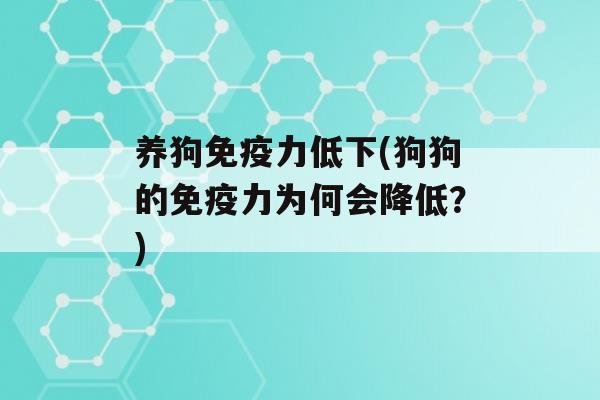 养狗力低下(狗狗的力为何会降低？)