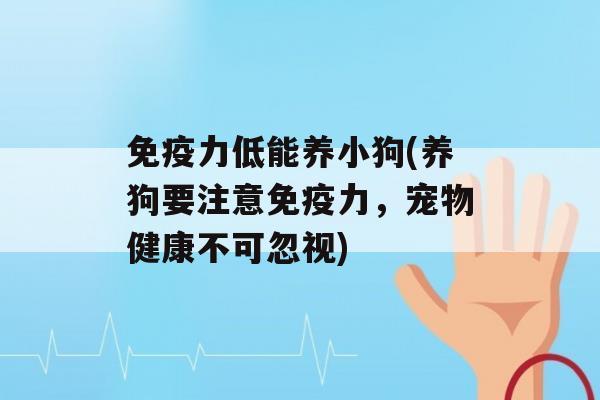 力低能养小狗(养狗要注意力，宠物健康不可忽视)