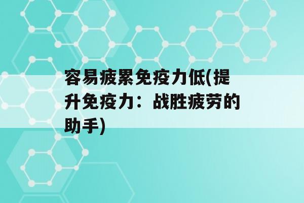 容易疲累力低(提升力：战胜疲劳的助手)