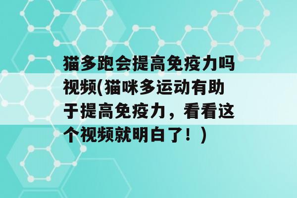 猫多跑会提高力吗视频(猫咪多运动有助于提高力，看看这个视频就明白了！)