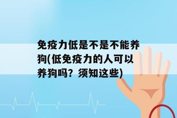 力低是不是不能养狗(低力的人可以养狗吗？须知这些)