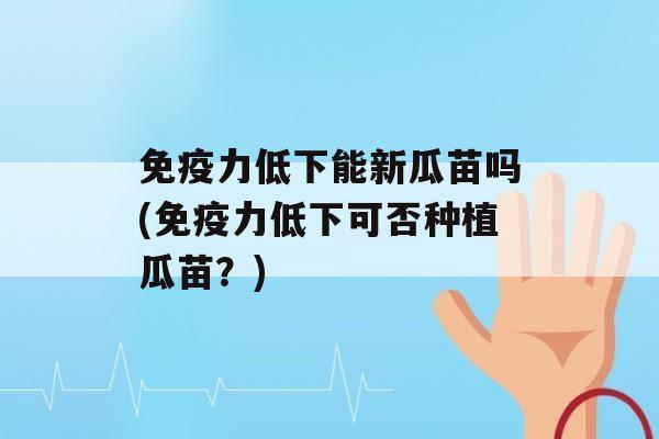 力低下能新瓜苗吗(力低下可否种植瓜苗？)