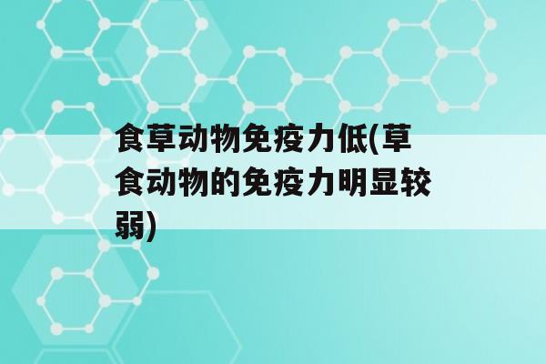 食草动物力低(草食动物的力明显较弱)