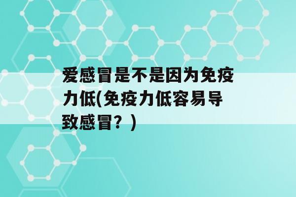 爱是不是因为力低(力低容易导致？)