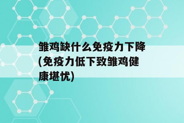 雏鸡缺什么力下降(力低下致雏鸡健康堪忧)