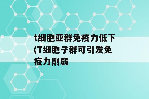 t细胞亚群力低下(T细胞子群可引发力削弱